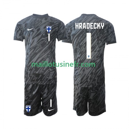 Maillot de Foot Finlande HRADECKY 1 Gardien Domicile 2024 - Enfant Maillot de Foot Finlande HRADECKY 1 Gardien Domicile 2024 - Enfant